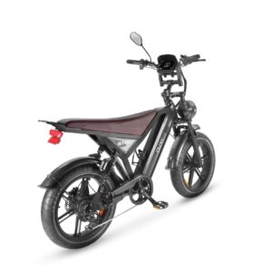 EBIKE GT20